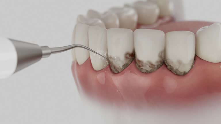 Reliable Dental contractor in Westwood Lakes, FL by Dentist Open Now
